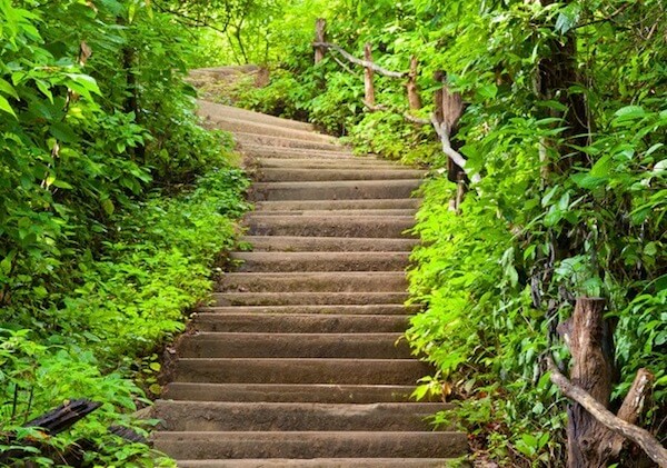 steps to business blog