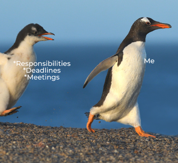 Deadlines