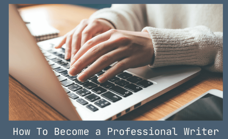 Professional Writer