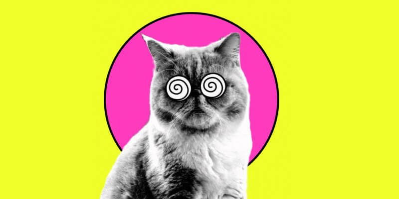 Visual Content - Comics